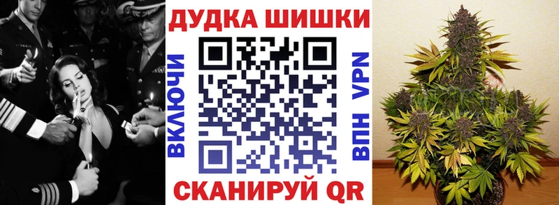 Купить  Луга  Конопля планчик 